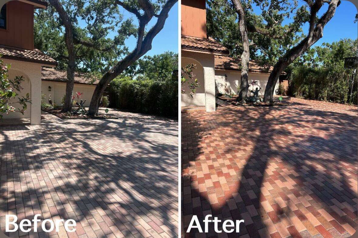Paver driveway cleaning under an oak canopy